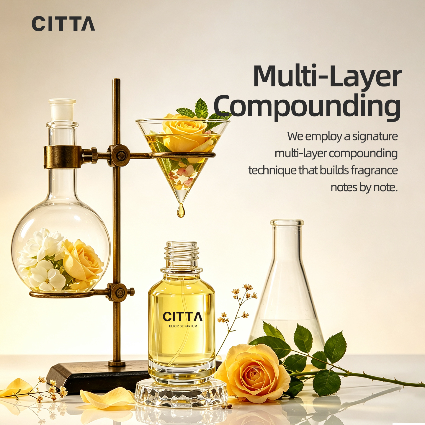 CITTA 55% OIL CONCENTRATED PARFUM 55ML FREE 5ML*DECANTS · 2